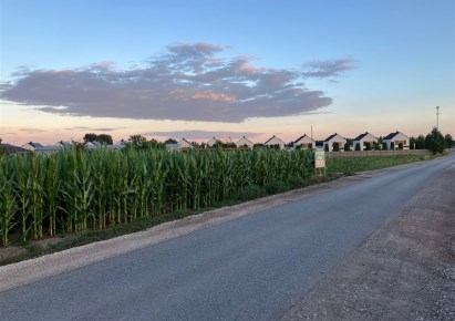 działka na sprzedaż - Lesznowola, Janczewice, Żytnia